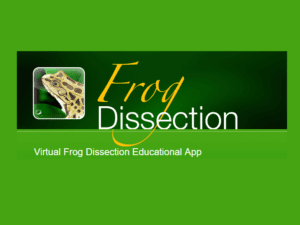 virtual frog dissection html5